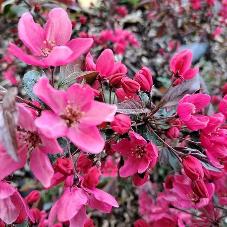 Ferien Im Kuehbergstadl Tatil Evi