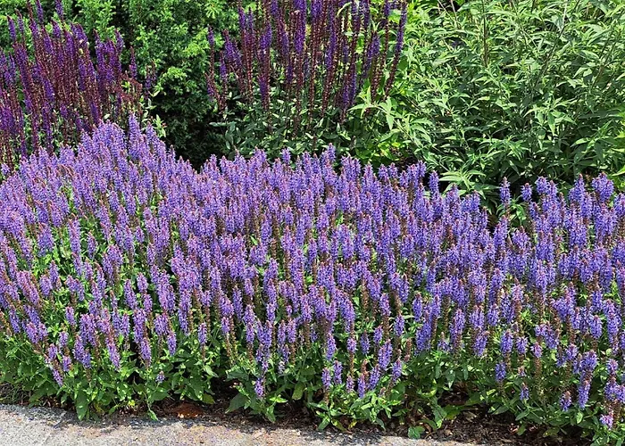 Ferien Im Kuehbergstadl *
