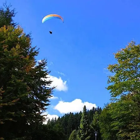 Casa vacanze Ferien Im Kuehbergstadl Bischofsmais