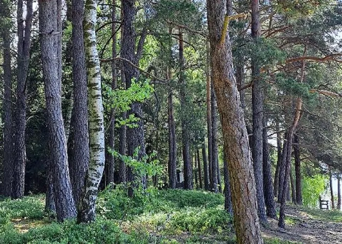 Hébergement de vacances Ferien Im Kuehbergstadl Bischofsmais