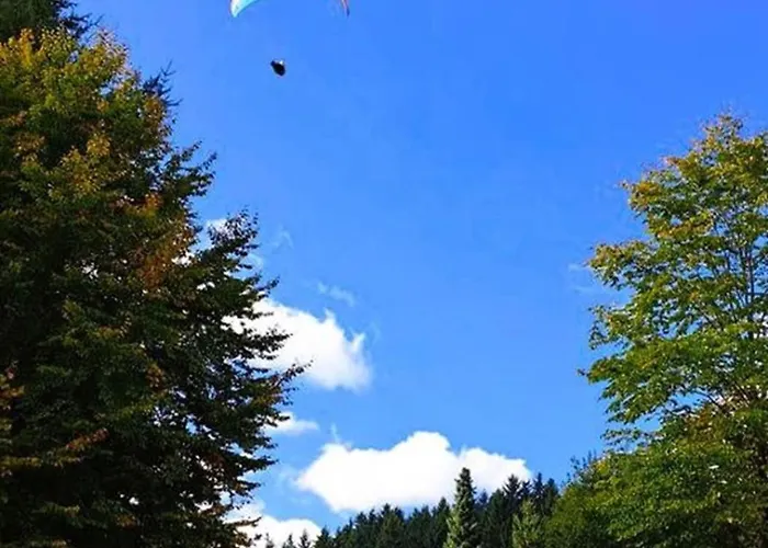 Hébergement de vacances Ferien Im Kuehbergstadl Bischofsmais